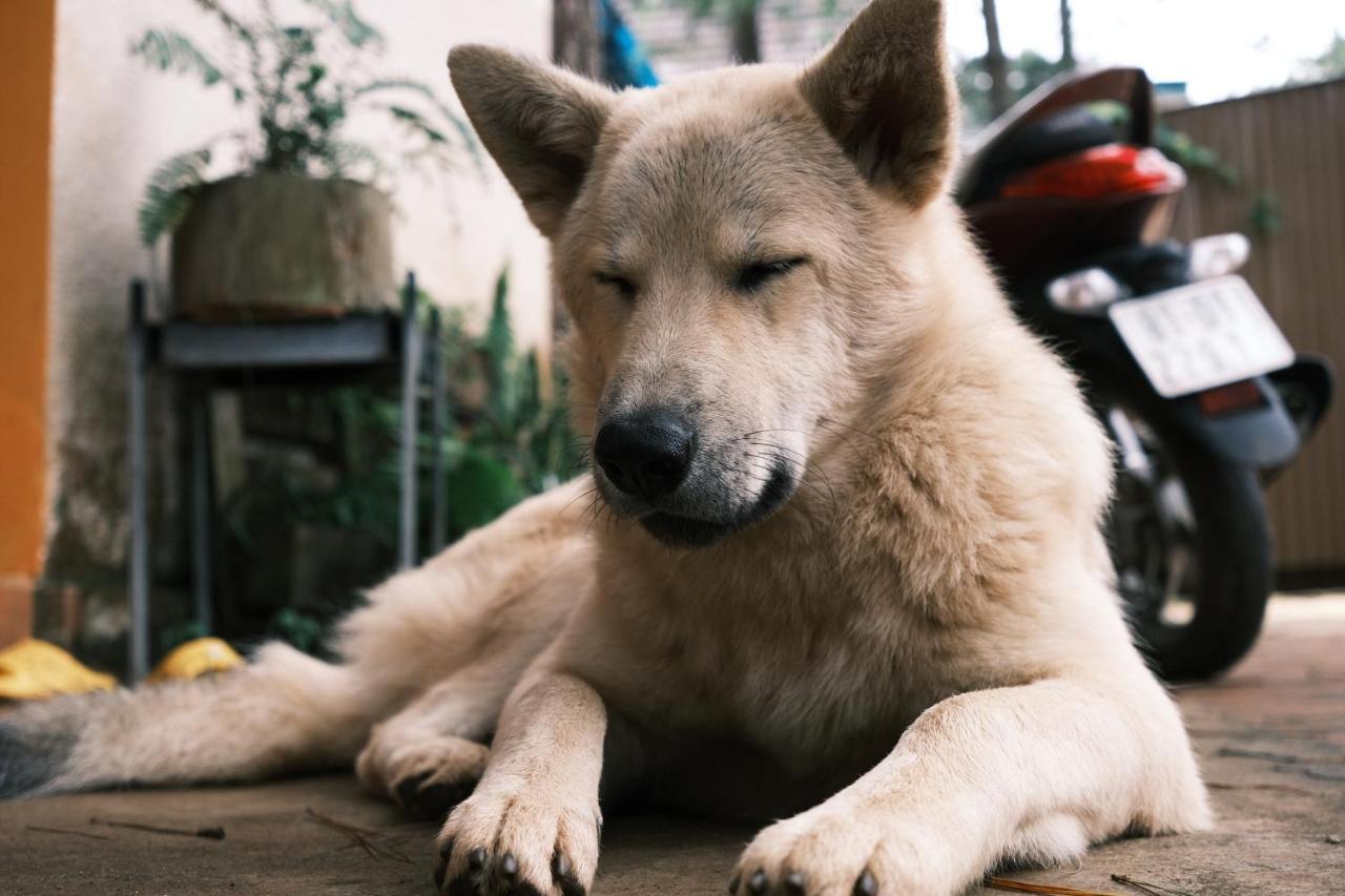 Tron Homestay Kon Von Kla Bagian luar foto