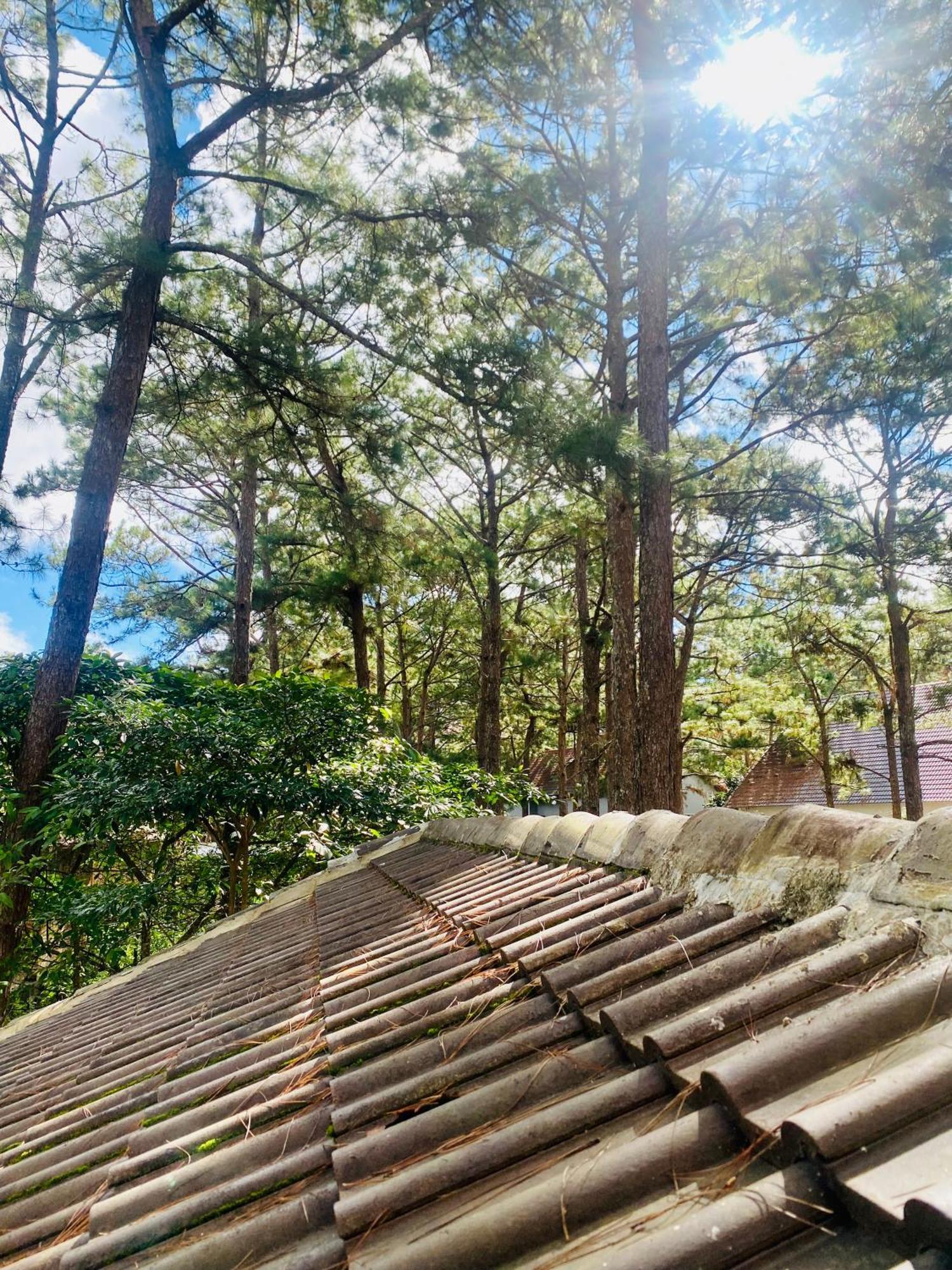 Tron Homestay Kon Von Kla Bagian luar foto